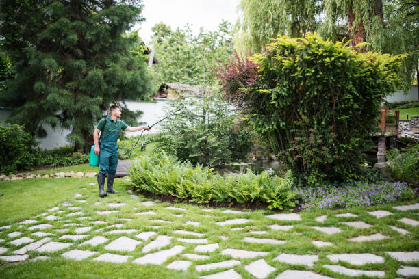 Best Pest Control for Homes  in Kersey, CO
