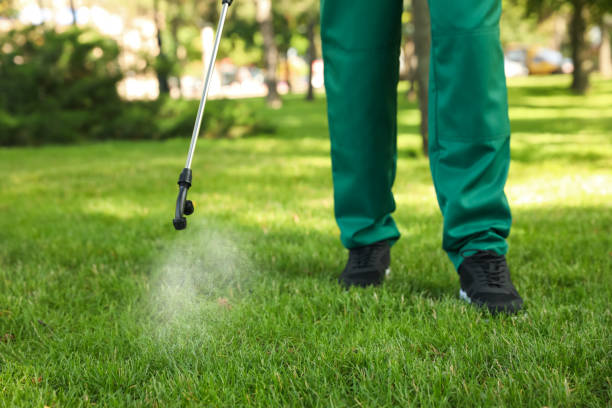 Best Affordable Pest Control Services  in Kersey, CO