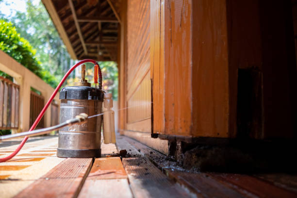 Best Residential Pest Control  in Kersey, CO