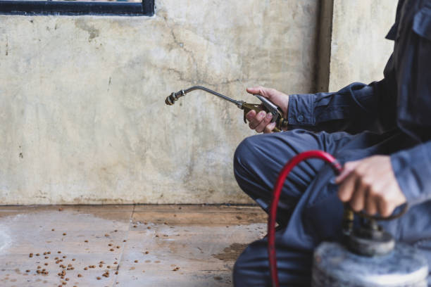 Best Mosquito Control Services  in Kersey, CO